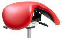 Salli Saddle Classic
