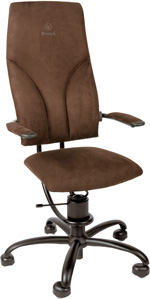 Spinalis Navigator