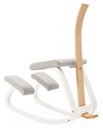 Varier Variable Backrest