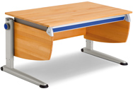 Moll Nature Desk