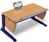 Moll Runner Desk
