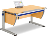 Moll Runner Desk