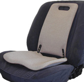 BackFriend in a Car Seat