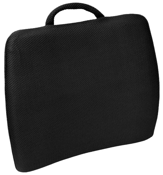 Lumbar Support Cushion Back in Action