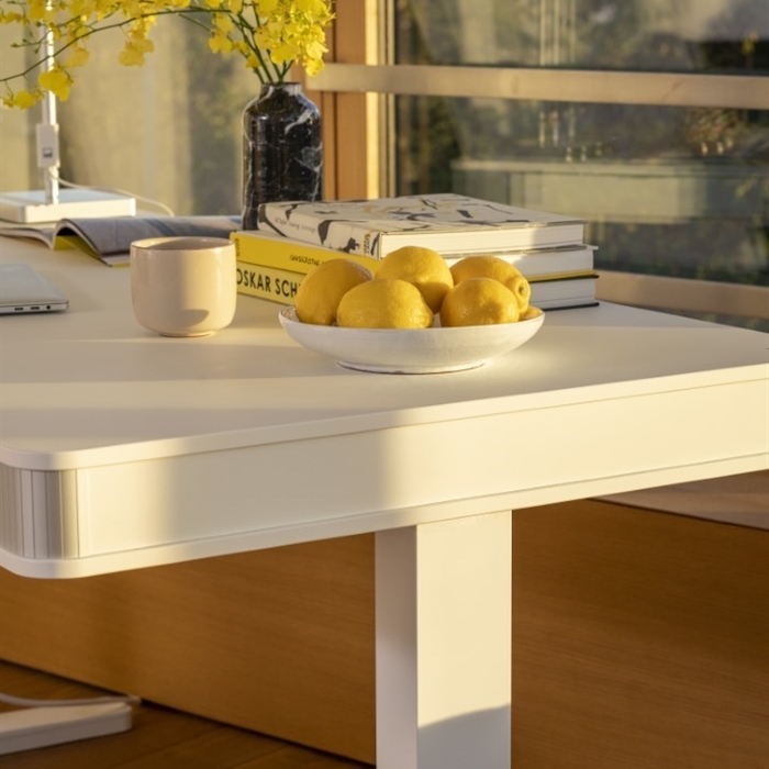 Moll T8 Large Desk In Stock Back in Action