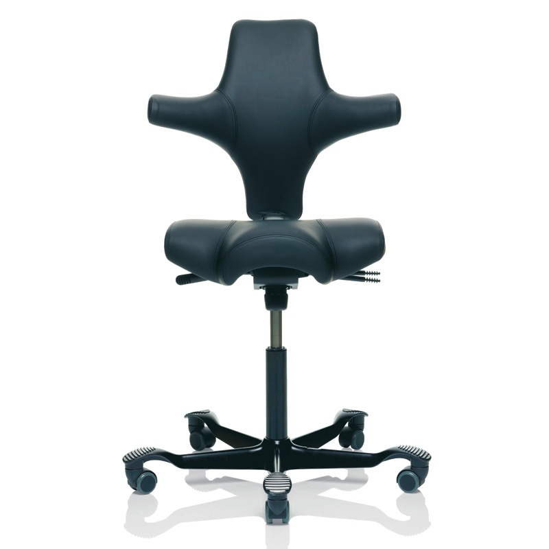 https://www.backinaction.co.uk/images/webproducts/Hag_Capisco_8106_Office_Chair_IN_STOCK/HAG_Capisco_8106_Black_Leather_800.jpg