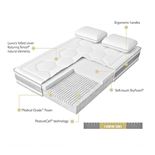 Mammoth Rise Back in Action